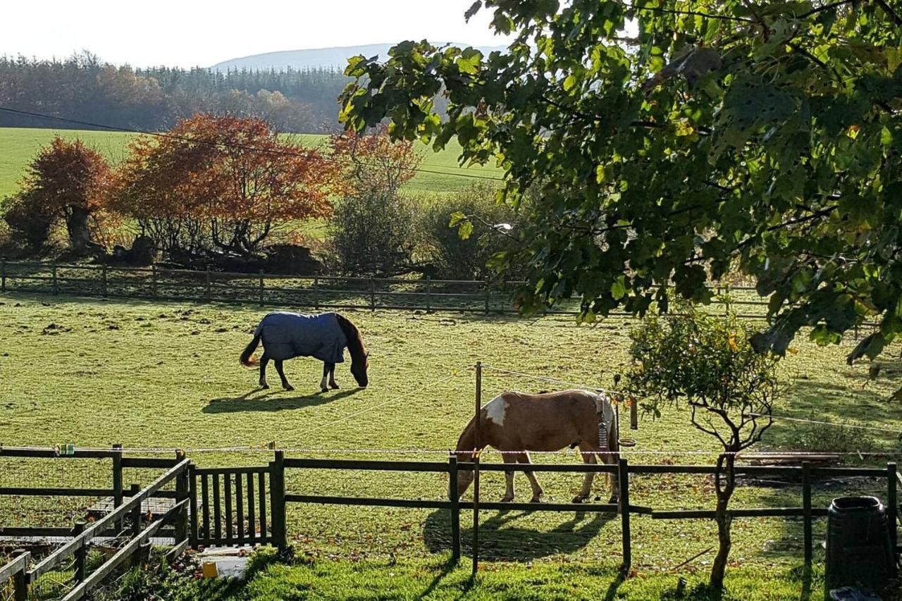 Stuc An T Sagairt Cottage , Loch Lomond Drymen Bagian luar foto